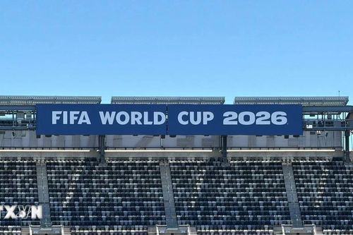 Xem trực tiếp Đức, Hà Lan và TBN đá trận ra quân World Cup 2026 trên kênh nào?