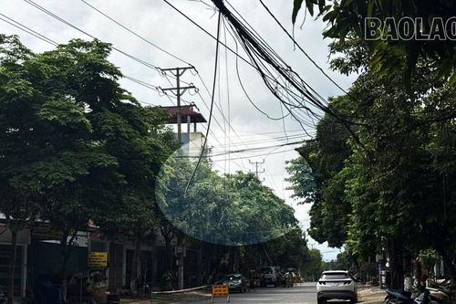 Dọn 'rác trời' vì sự an toàn của người dân và mỹ quan đô thị
