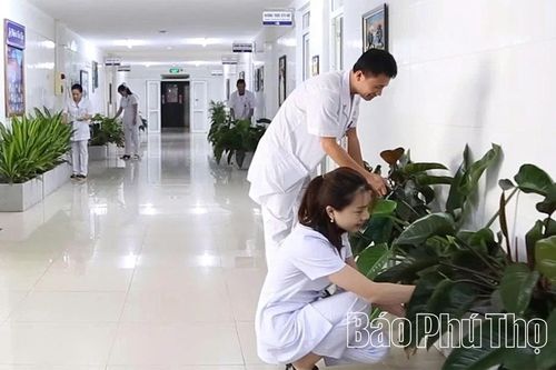 Nơi 'sức khỏe xanh' nảy mầm