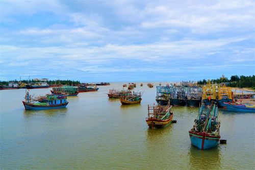 Kỳ thú chuyện biển