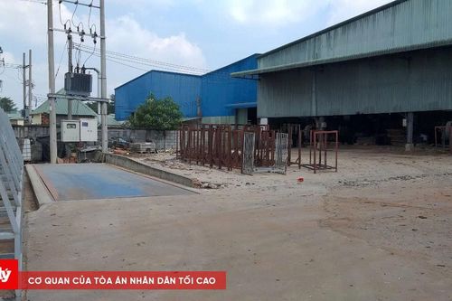 TP HCM: Sắp xử lại vụ 'nộp tiền giải chấp nhưng không được sang tên thửa đất'
