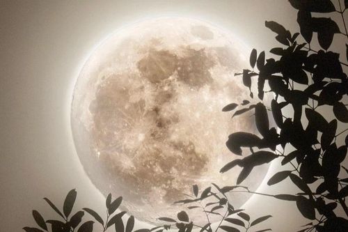 Trăng Non Song Tử ngày 15/6: Vũ trụ gửi bạn một 'trang giấy trắng' để viết ra điều ước