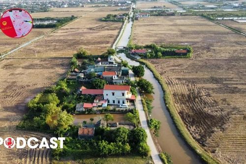 Chuyển đất lúa sang đất ở, có cần đánh giá môi trường?