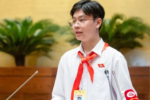 Nam sinh từng là 'Chủ tịch Quốc hội trẻ em' ghi dấu ấn ở kỳ thi lớp 10 chuyên