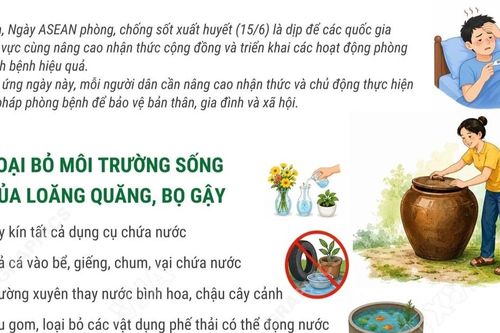 Ngày ASEAN phòng, chống sốt xuất huyết: 3 việc cần làm để phòng bệnh hiệu quả