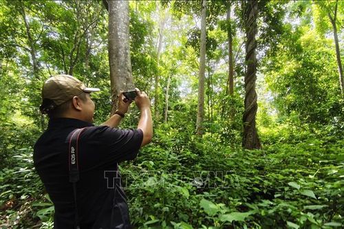 Người dân là đại sứ quảng bá hiệu quả cho du lịch địa phương
