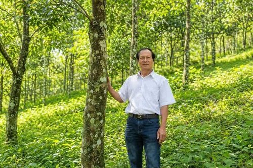 Người bền bỉ giữ rừng ở Liêng Srônh, làm nên hương trầm OCOP