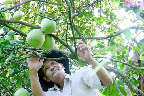 Xây dựng điểm đến hoàn chỉnh