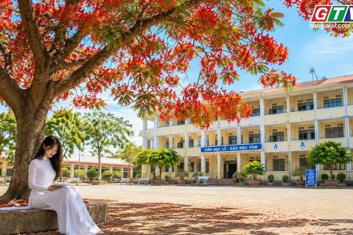 Ngăn ký ức: Nhớ thương mùa phượng vĩ