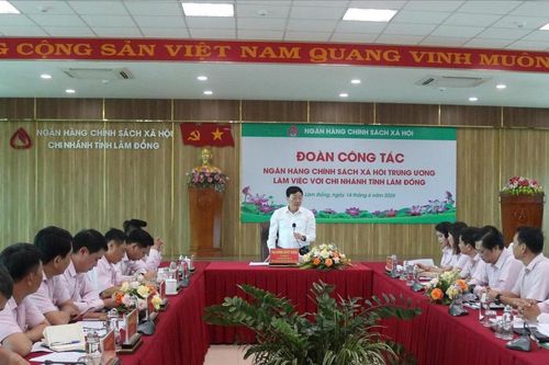 Chi nhánh Ngân hàng CSXH tỉnh Lâm Đồng được xếp loại tốt
