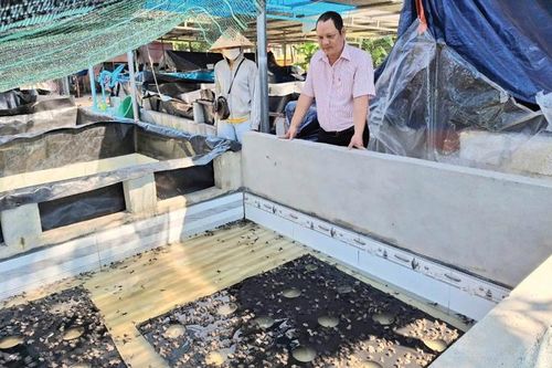 Cầu nối đưa nguồn lực đến với hội viên