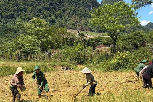 Những người lính gieo mùa trên cánh đồng Rục Làn