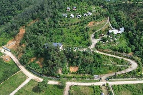 Hà Nội ban hành cơ chế mới để bảo vệ rừng, mở rộng không gian xanh