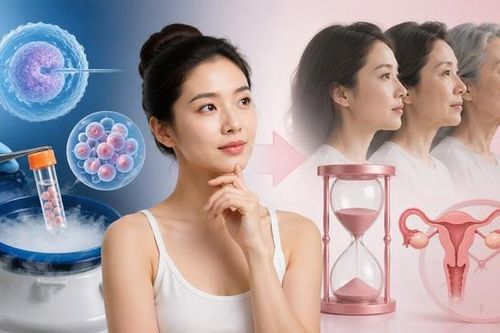 Những lầm tưởng về trữ đông trứng
