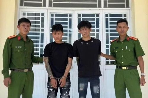 Tạm giữ 2 đối tượng giật iPhone của thiếu nữ