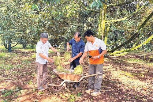 Phát triển thuốc bảo vệ thực vật sinh học