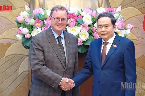 [Video] Việt Nam - Đức chia sẻ kinh nghiệm lập pháp, chuyển đổi số trong hoạt động nghị viện