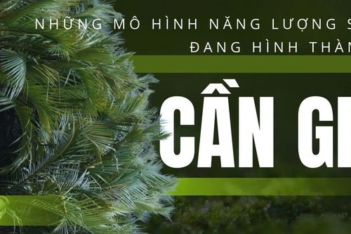 Những mô hình năng lượng sạch đang hình thành ở Cần Giờ