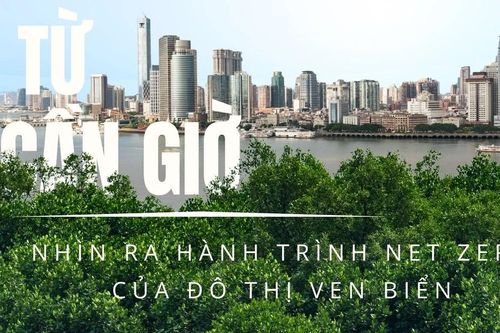 Từ Cần Giờ nhìn ra hành trình Net Zero của đô thị ven biển