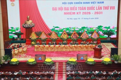 Khơi dậy nội lực từ phong trào làm kinh tế giỏi