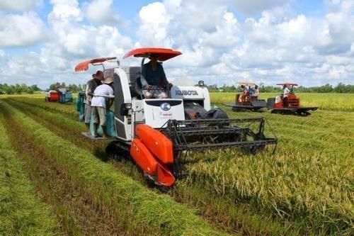 Cần Thơ tập trung vào ba khu vực kinh tế chủ lực