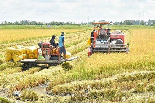 Dòng vốn cho mục tiêu 2 con số
