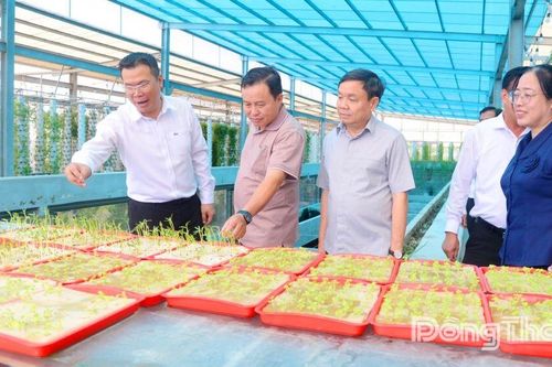 Đồng chí Phan Văn Thắng khảo sát mô hình Nông trại Suối Gạo