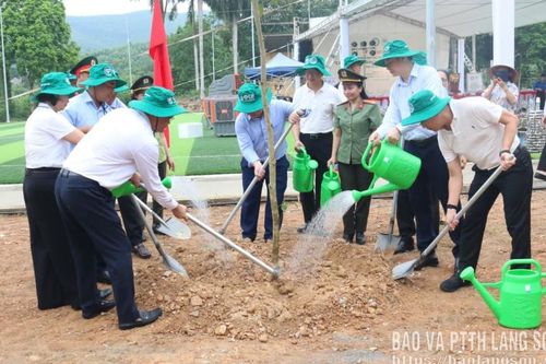Mít tinh và phát động trồng cây hưởng ứng Ngày Thế giới chống sa mạc hóa và hạn hán năm 2026