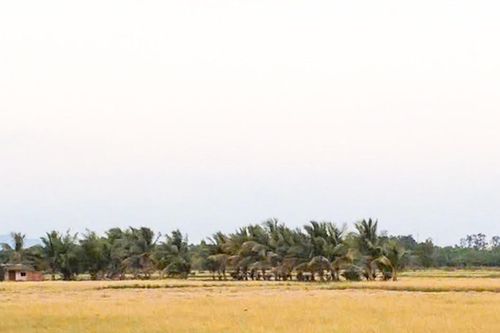 Phòng, chống lũ quét và giông sét vùng ven sông La Ngà