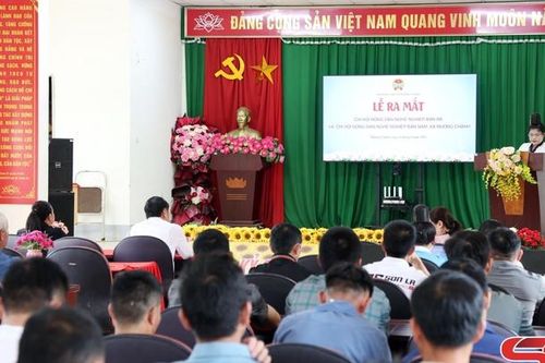Lễ ra mắt Chi hội Nông dân nghề nghiệp nuôi dúi xã Mường Chanh