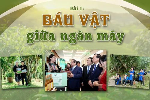 Bài 1: Báu vật giữa ngàn mây