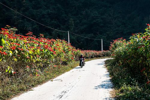 Quang Long đưa nghị quyết của Đảng vào cuộc sống