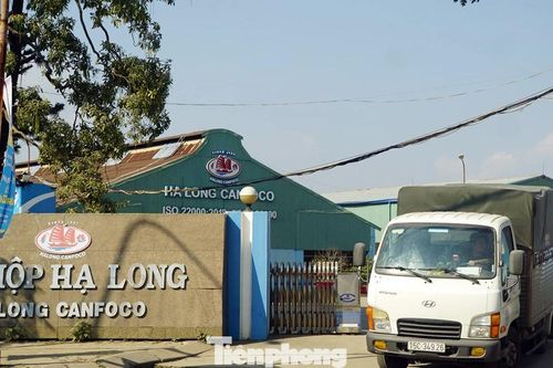 Nhà máy đồ hộp Hạ Long sản xuất trở lại