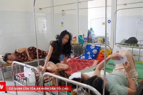 124 người nghi ngộ độc sau khi ăn bánh mì Lâm Huyền, 7 mẫu bệnh phẩm dương tính Salmonella