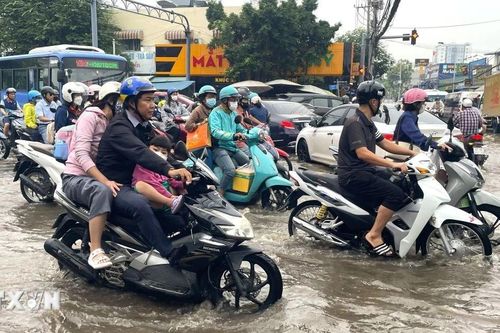 Thành phố Hồ Chí Minh tìm lời giải dài hạn cho bài toán ngập nước đô thị
