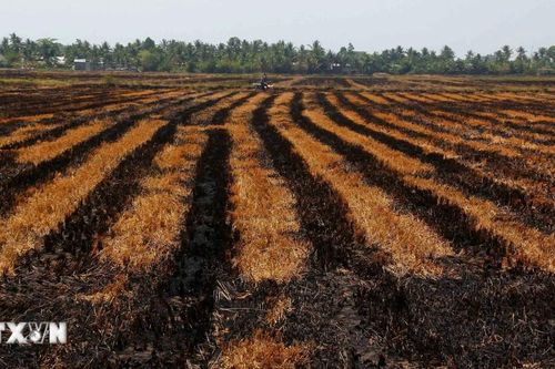 Khả năng El Nino rất mạnh: Việt Nam đối mặt nhiều đợt nắng nóng, bão mạnh