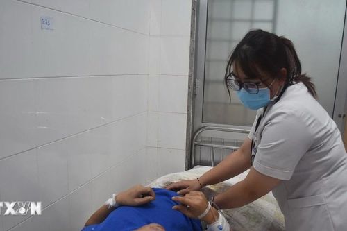 Đồng Tháp ghi nhận 93 trường hợp nghi ngộ độc sau khi ăn bánh mỳ thịt