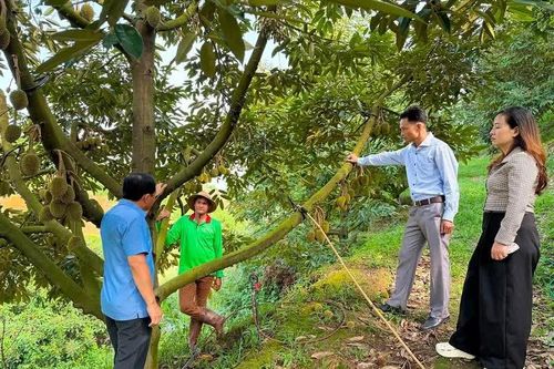 Đam Rông 2: Khơi sức dân trên hành trình xây dựng nông thôn mới