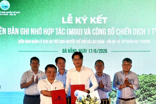Công bố chiến dịch '1 tỷ xanh' tại Khu dự trữ sinh quyển thế giới Cù Lao Chàm - Hội An