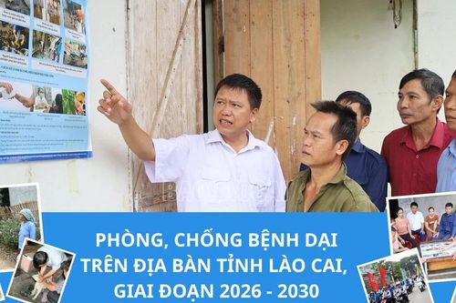 Phòng, chống bệnh dại trên địa bàn tỉnh Lào Cai, giai đoạn 2026 - 2030