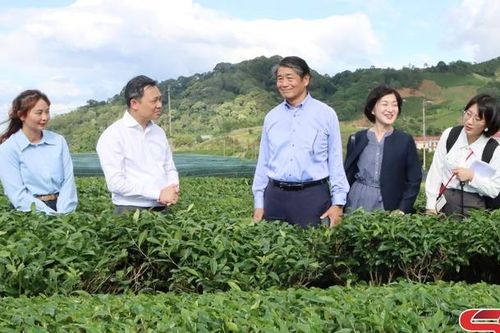Tăng cường đối ngoại, mở rộng hợp tác quốc tế