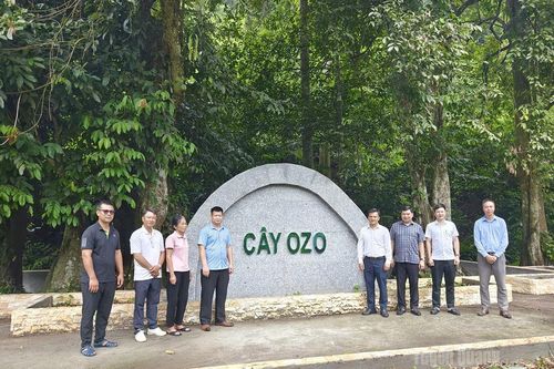 Nghiệm thu Dự án bảo tồn Làng văn hóa truyền thống dân tộc Tày thôn Bản Bung