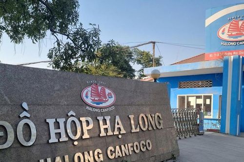 Sau biến cố thực phẩm đầu năm, Đồ hộp Hạ Long (CAN) tái khởi động nhà máy Hải Phòng