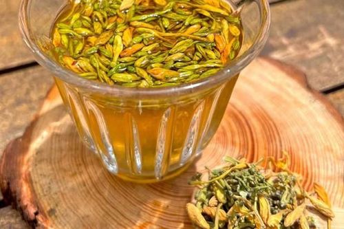 Hoa đu đủ đực giúp hỗ trợ điều trị bệnh gì?