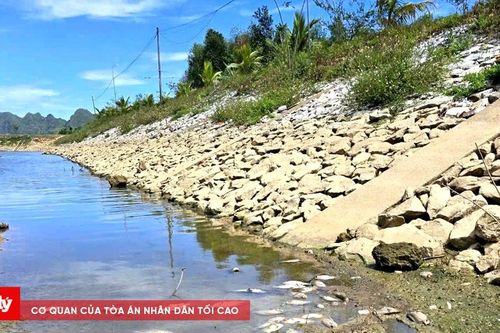 Lấy mẫu nước xác minh nguyên nhân cá chết hàng loạt ở đập Ba Tru