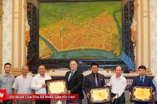 Mở rộng hợp tác quốc tế về tìm kiếm hài cốt liệt sĩ