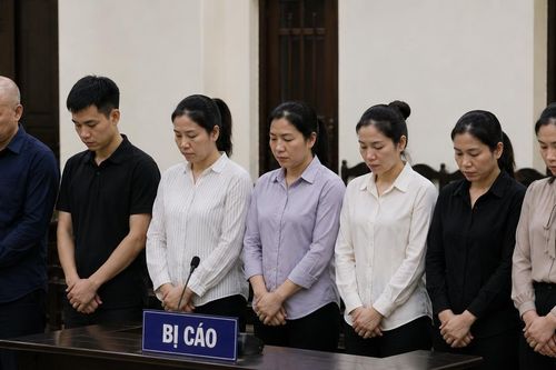Lật tẩy âm mưu mua 3 trẻ em đưa sang Mỹ của Việt kiều Mỹ