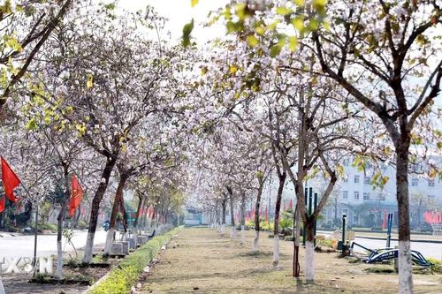 Lai Châu triển khai chương trình kích cầu, tạo đà bứt phá cho du lịch xanh