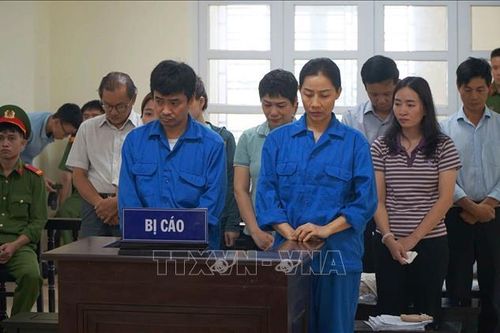 Xét xử 12 bị cáo trong vụ án Việt Á ở Đắk Lắk