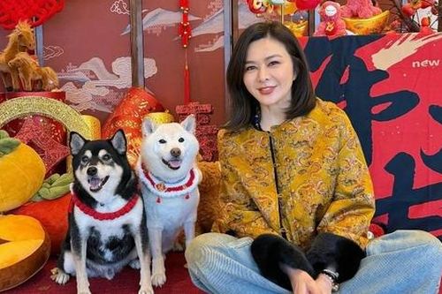 Nhan sắc gây ngỡ ngàng của 'đệ nhất mỹ nhân Hương Cảng' ở tuổi 63